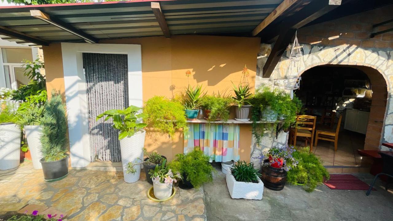 Colorful And Happy Apartment Sukosan - With Parking Exterior photo